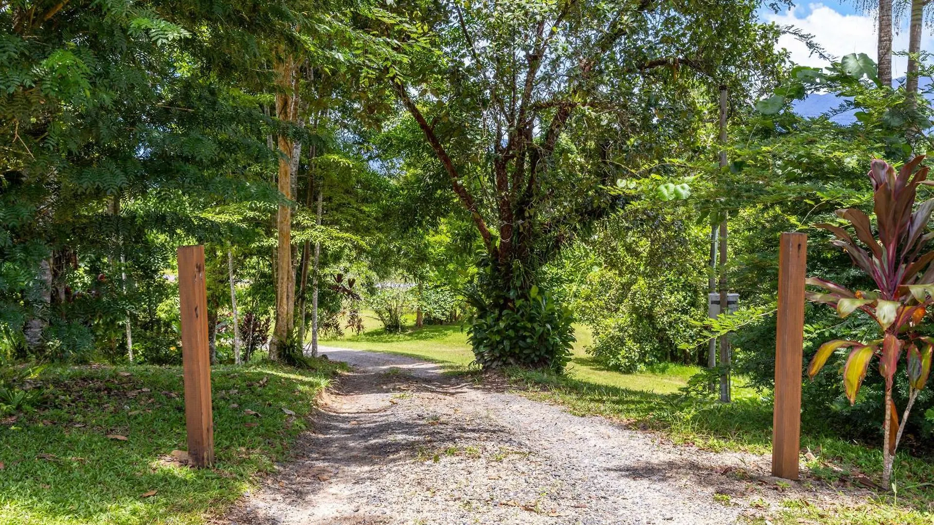 Rainforest Retreat In Bamboo Miallo Holiday home